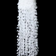 White lace curtain against a black background